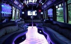 party bus 35 passenger mirage limousines