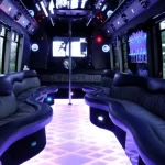 35 PASSENGER PARTY BUS - LIMO BUS
