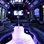 35 PASSENGER PARTY BUS / LIMO BUS INTERIOR