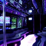 35 PASSENGER PARTY BUS / LIMO BUS INTERIOR